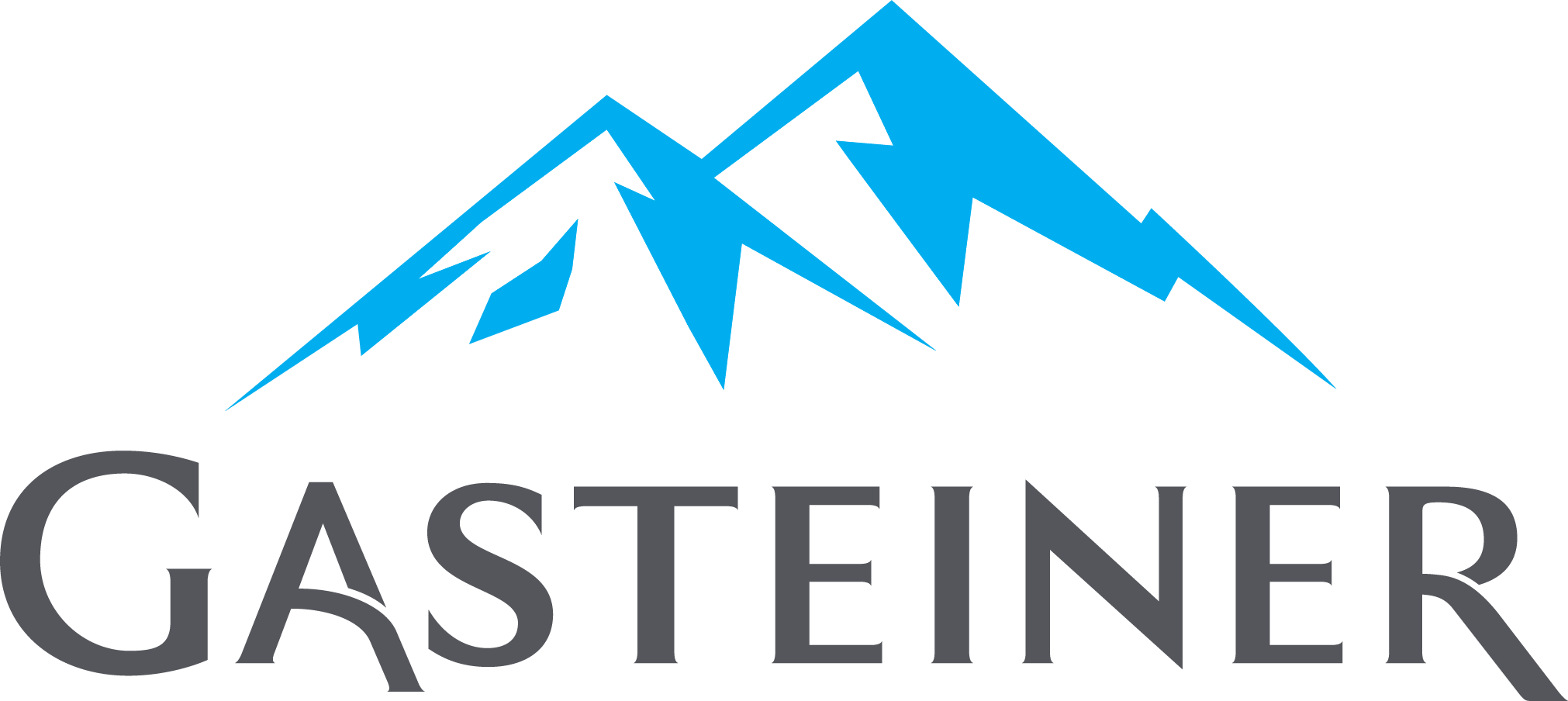SPIT2001-GasteinerLogo